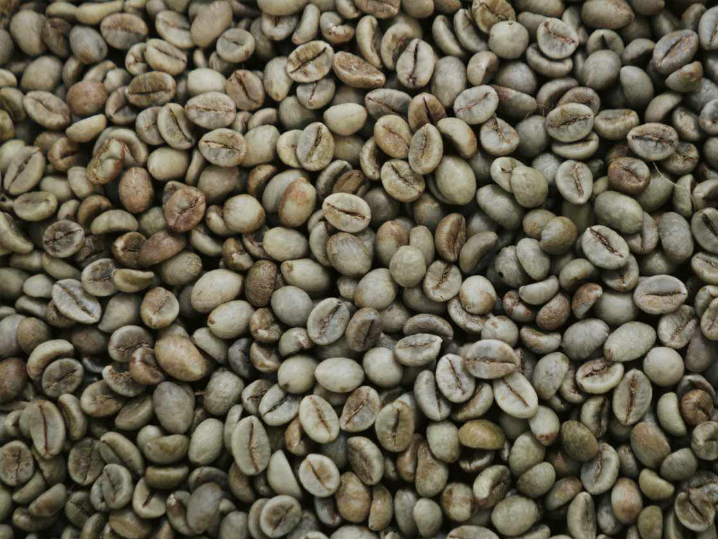 Café verde