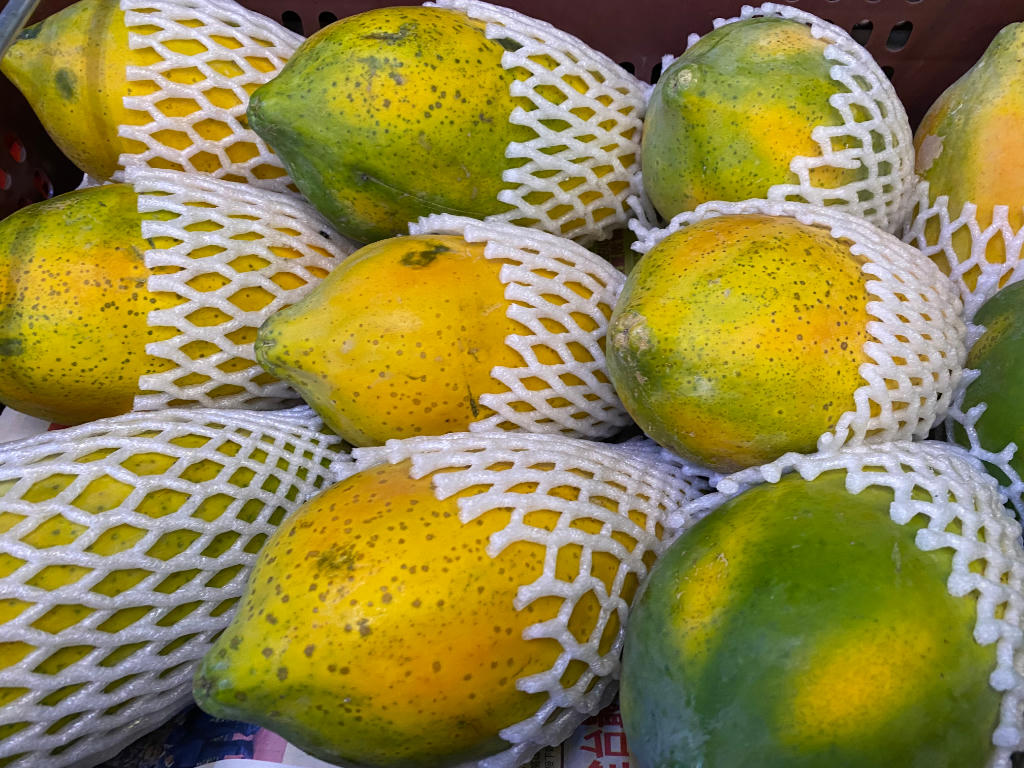 Fruta tropical empacada